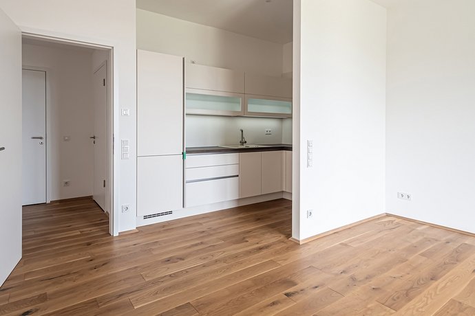 Küche zum Wohnzimmer offen
