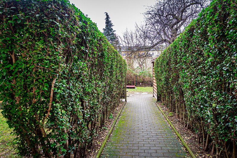 Weg zum Grundstück
