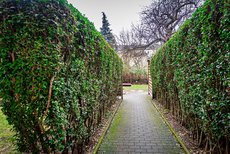 Weg zum Grundstück