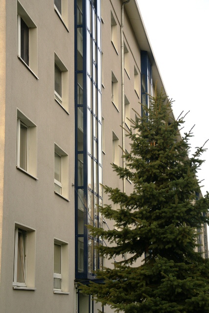 Neubauwohnung mit Balkon in Laubegast - solvente Mieter!